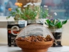 food3