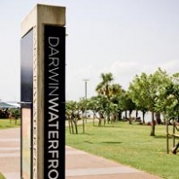 darwin1