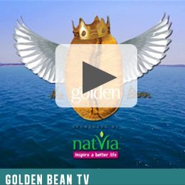 GBNewsletter_GBTV