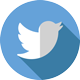 twitter_80px